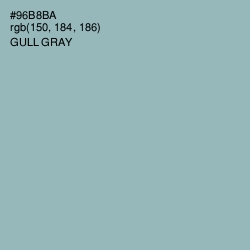 #96B8BA - Gull Gray Color Image
